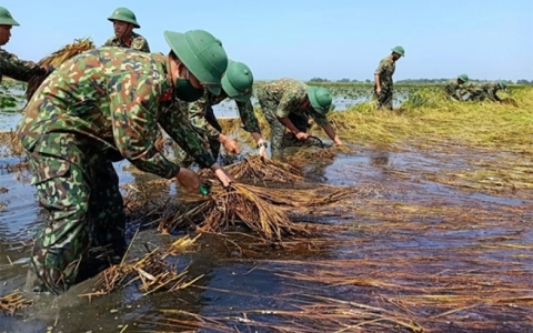 Dấu ấn tuổi trẻ Lực lượng vũ trang Quân khu 4