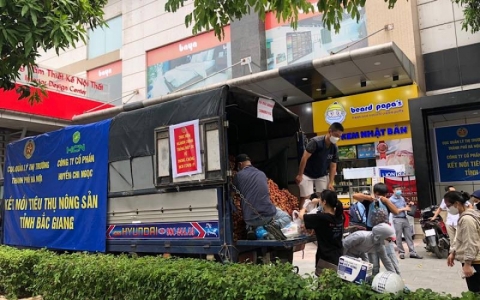 Quản l&yacute; thị trường H&agrave; Nội hỗ trợ ti&ecirc;u thụ vải Bắc Giang