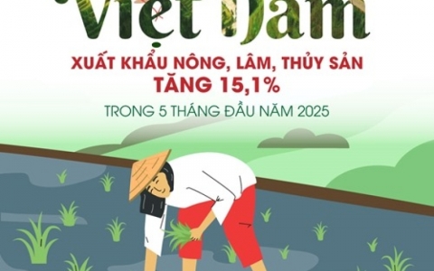 Xuất khẩu nông, lâm, thủy sản tăng 15,1% trong 5 tháng đầu năm 2025