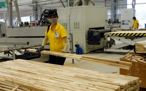 Chế biến và xuất khẩu gỗ tiềm ẩn nhiều rủi ro