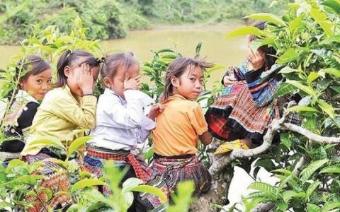 Mở rộng ch&iacute;nh s&aacute;ch ưu ti&ecirc;n, hỗ trợ người học d&acirc;n tộc thiểu số rất &iacute;t người