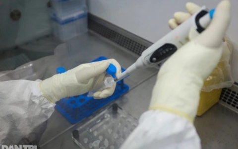 Người đ&atilde; khỏi Covid-19 c&oacute; bị nhiễm biến thể phụ BA.5 kh&ocirc;ng?