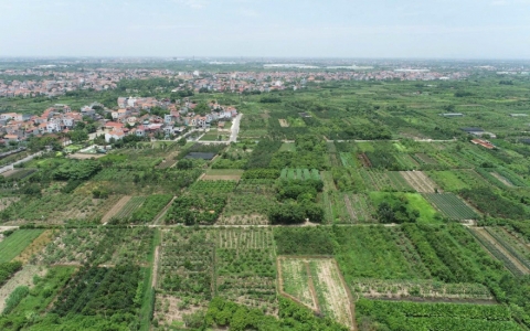 Quyết định mới nhất của tỉnh Hưng Y&ecirc;n li&ecirc;n quan dự &aacute;n &ldquo;Trường THPT x&atilde; hội chủ nghĩa kiểu mẫu của Việt Nam&rdquo;