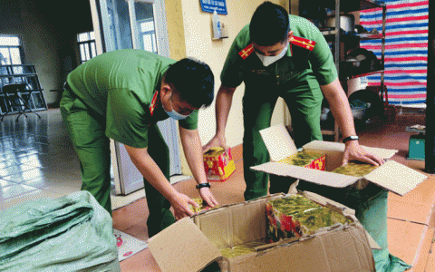 Công an huyện Văn Lãng bắt giữ xe ô tô vận chuyển 250kg  pháo nổ trái phép