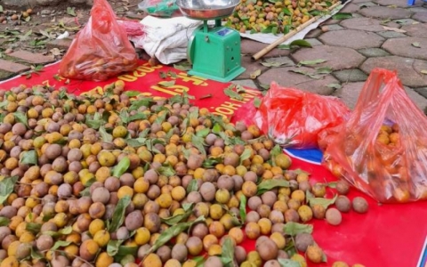 Đặc sản sấu ch&iacute;n H&agrave; Nội ch&aacute;y h&agrave;ng, c&oacute; bao nhi&ecirc;u cũng b&aacute;n hết