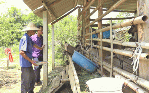 Đòn bấy cho các hộ khó