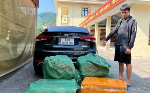 Quảng Ninh bắt vụ vận chuyển gần 300kg nầm lợn đ&ocirc;ng lạnh kh&ocirc;ng r&otilde; nguồn gốc
