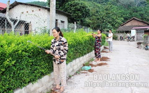 Thực hiện tiêu chí môi trường và an toàn thực phẩm: Chủ động ở Đình Lập