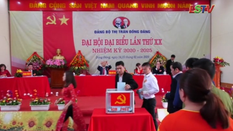 Bản tin sáng ngày 16/2/2020