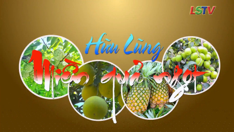 Hữu Lũng - Miền quả ngọt
