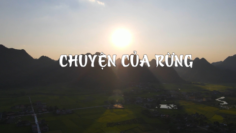 Chuyện của rừng