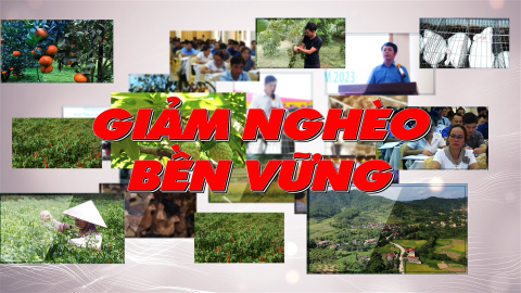 CM Giảm nghèo bền vững số 02/2024