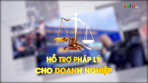 CM Hỗ trợ pháp lý cho doanh nghiệp ngày 14/12/2023