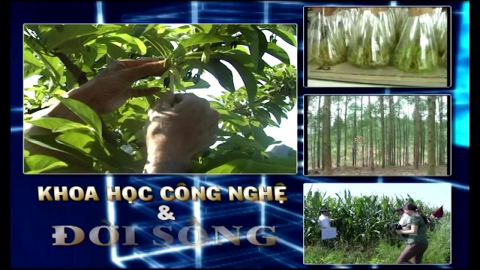 CM Khoa học c&ocirc;ng nghệ v&agrave; Đời sống ng&agrave;y 25/03/2021