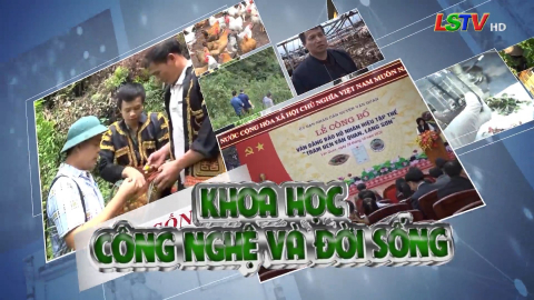 CM Khoa học c&ocirc;ng nghệ v&agrave; Đời sống ng&agrave;y 29/01/2022