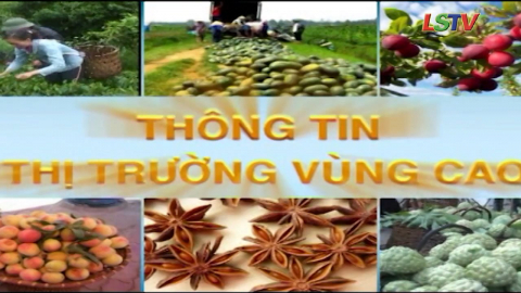 CM Th&ocirc;ng tin thị trường v&ugrave;ng cao - Số 07/2021