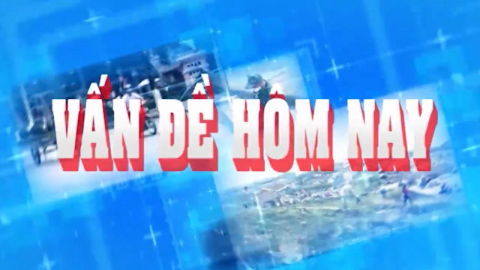 CM Vấn đề h&ocirc;m nay ng&agrave;y 1/4/2020