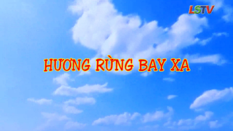 Hương rừng bay xa