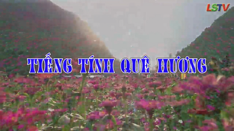 Ca nhạc: Tiếng tính quê hương