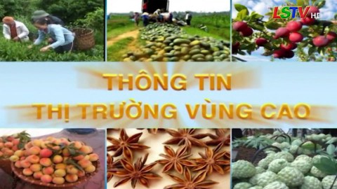 CM Th&ocirc;ng tin thị trường v&ugrave;ng cao - Số 08/2022