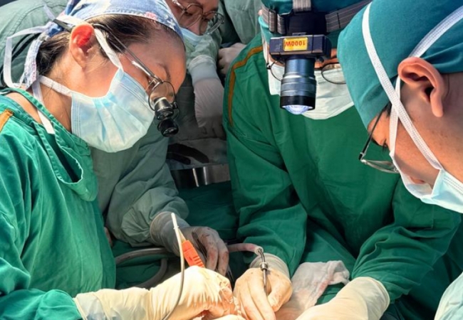 Bụng đột ngột nh&ocirc; to, b&eacute; 6 th&aacute;ng tuổi ph&aacute;t hiện khối u qu&aacute;i 1,3kg hiếm gặp