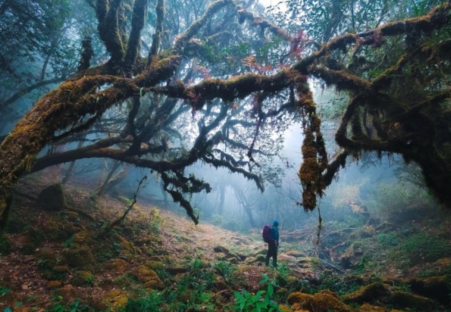 Chinh phục Sa Mu - đỉnh núi có rừng rêu ma mị "hot" nhất Tây Bắc
