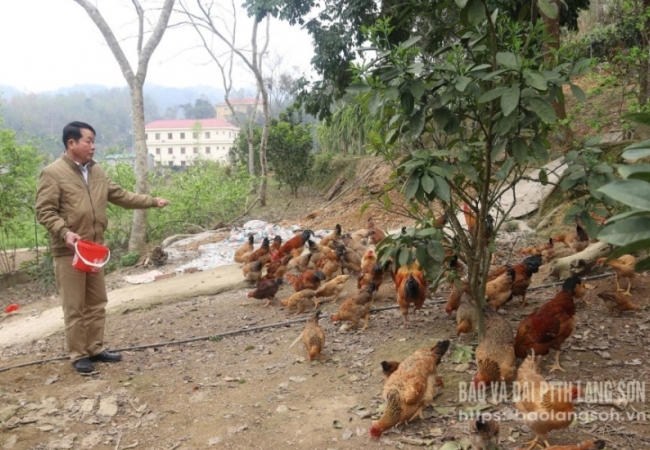 Cựu chiến binh vươn lên từ kinh tế tổng hợp