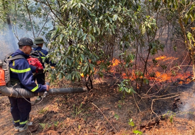 Huy động gần 500 người xuyên đêm chữa cháy rừng ở Nghệ An