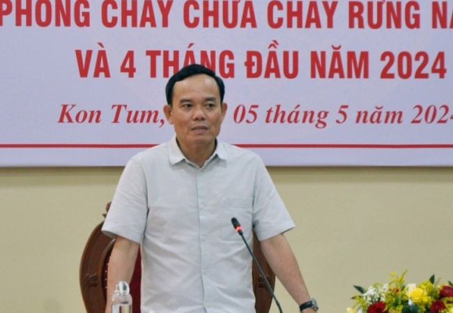 Phó Thủ tướng Trần Lưu Quang: Bảo vệ rừng không nên ỷ lại
