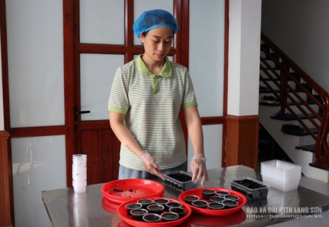 Thơm mát bánh thạch đen