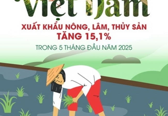 Xuất khẩu nông, lâm, thủy sản tăng 15,1% trong 5 tháng đầu năm 2025
