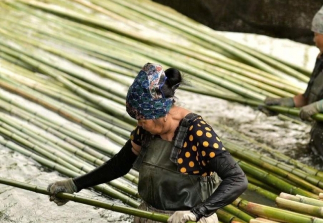 &ldquo;Giữ lửa&rdquo; l&agrave;ng nghề trước &aacute;p lực thị trường