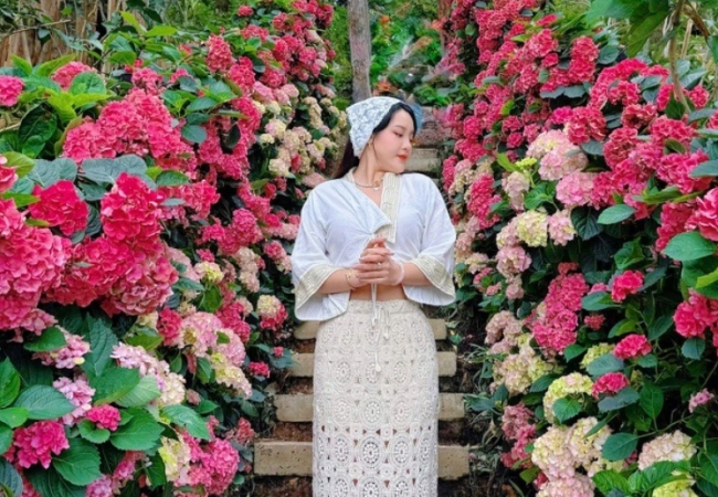 "Lối mòn cổ tích" gây sốt giới trẻ, hóa ra là điểm đến quen thuộc ở Đà Lạt