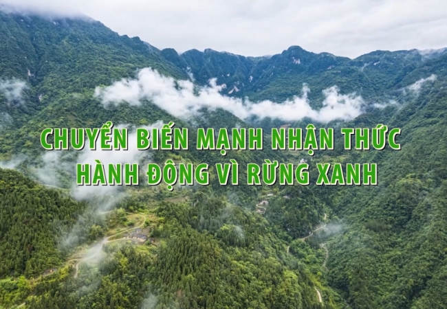 Chuyển biến mạnh nhận thức hành động vì rừng xanh