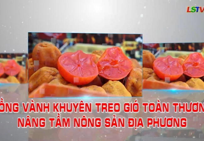 Hồng Vành Khuyên treo gió Toàn Thương nâng tầm nông sản địa phương