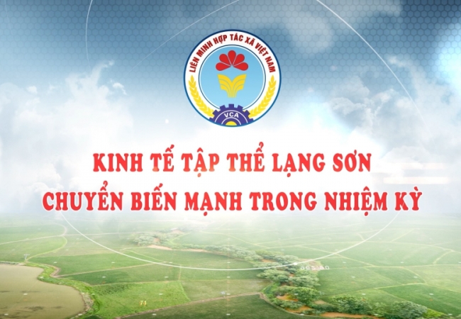 Kinh tế tập thể Lạng Sơn chuyển biến mạnh trong nhiệm kỳ