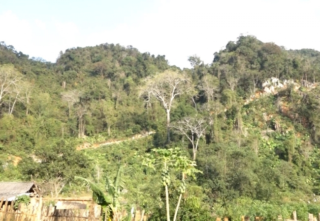 L&acirc;n N&oacute;ng thức giấc