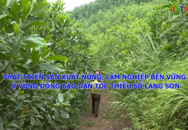 Ph&aacute;t triển sản xuất n&ocirc;ng, l&acirc;m nghiệp bền vững ở v&ugrave;ng đồng b&agrave;o d&acirc;n tộc thiểu số Lạng Sơn