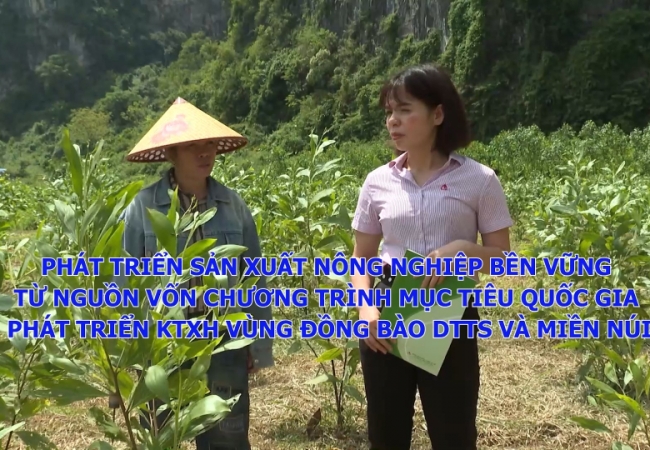 Ph&aacute;t triển sản xuất n&ocirc;ng nghiệp bền vững từ nguồn vốn chương tr&igrave;nh mục ti&ecirc;u quốc gia ph&aacute;t triển KTXH v&ugrave;ng đồng b&agrave;o DTTS v&agrave; miền n&uacute;i (Dự &aacute;n 3)