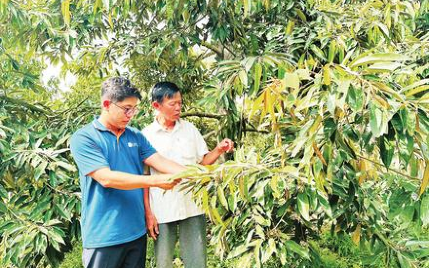 Sử dụng vật tư nông nghiệp an toàn, hiệu quả - Báo và Phát thanh, Truyền hình Lạng Sơn