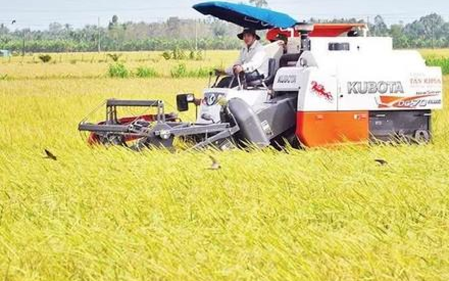 Kết nối, hình thành vùng nguyên liệu, tiêu thụ nông sản bền vững - Báo và Phát thanh, Truyền hình Lạng Sơn