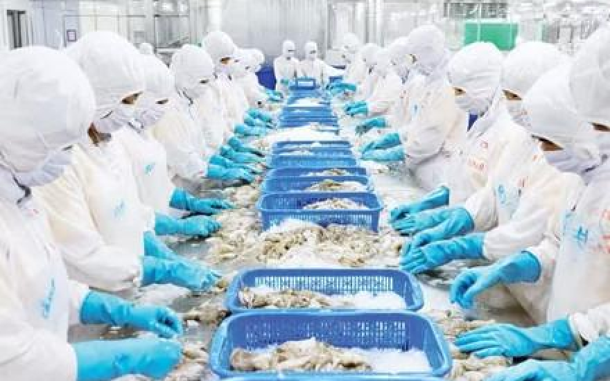 Đẩy nhanh hoạt động sản xuất, xuất khẩu tại Lạng Sơn