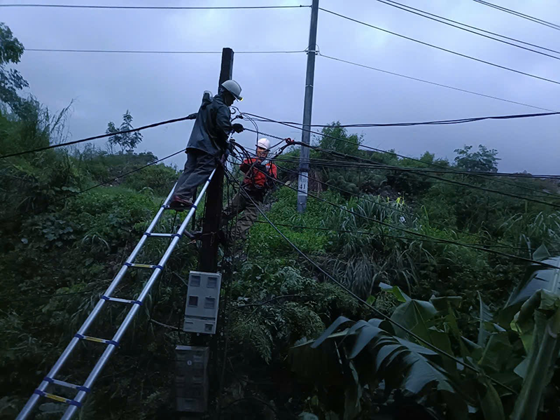 A group of men on a ladder climbing a power pole

Description automatically generated