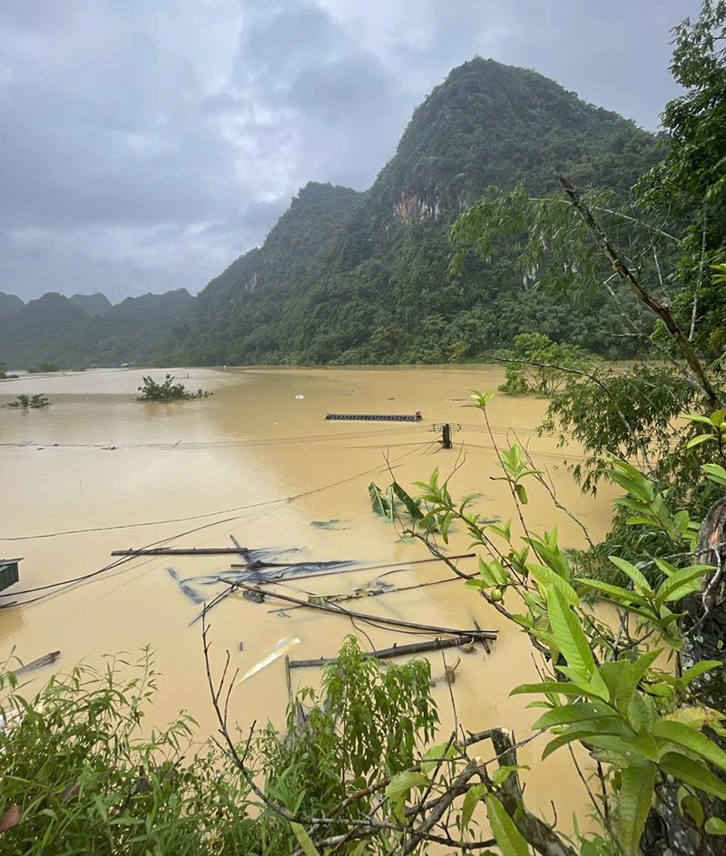 A muddy river with trees and mountains in the background

Description automatically generated