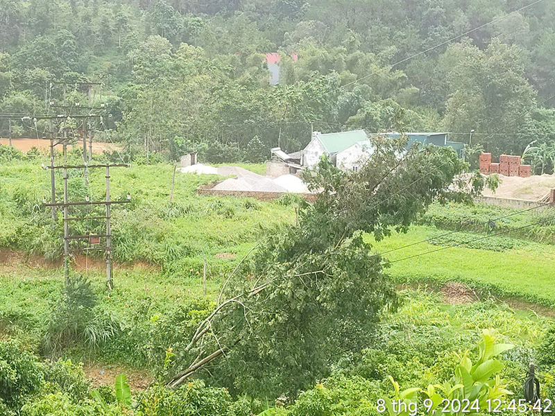 A green field with trees and buildings

Description automatically generated